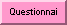 Our questionnaire